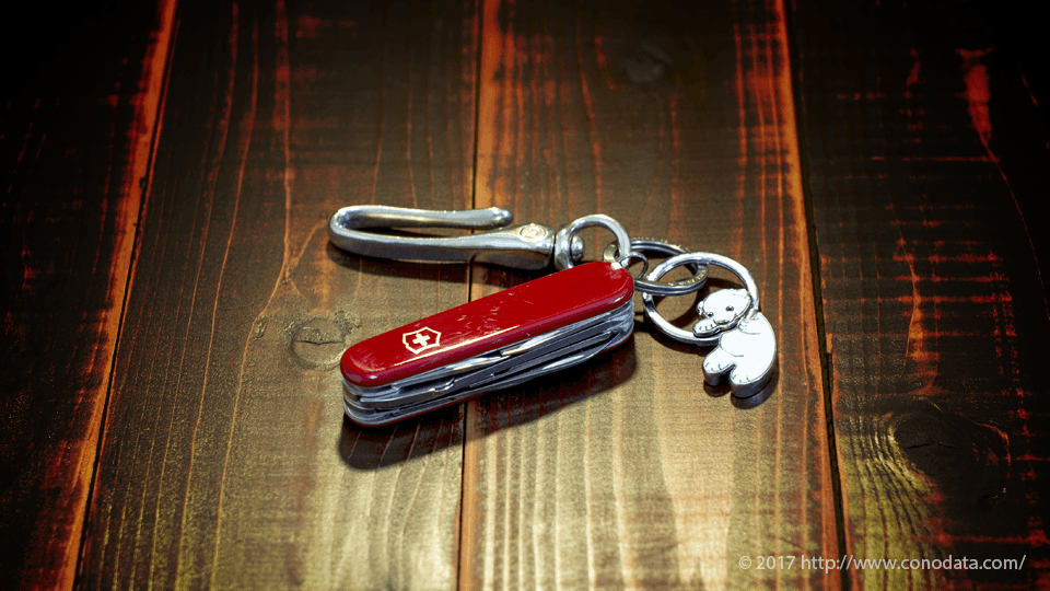 VICTORINOX(ビクトリノックス) PLIトラベラー PD